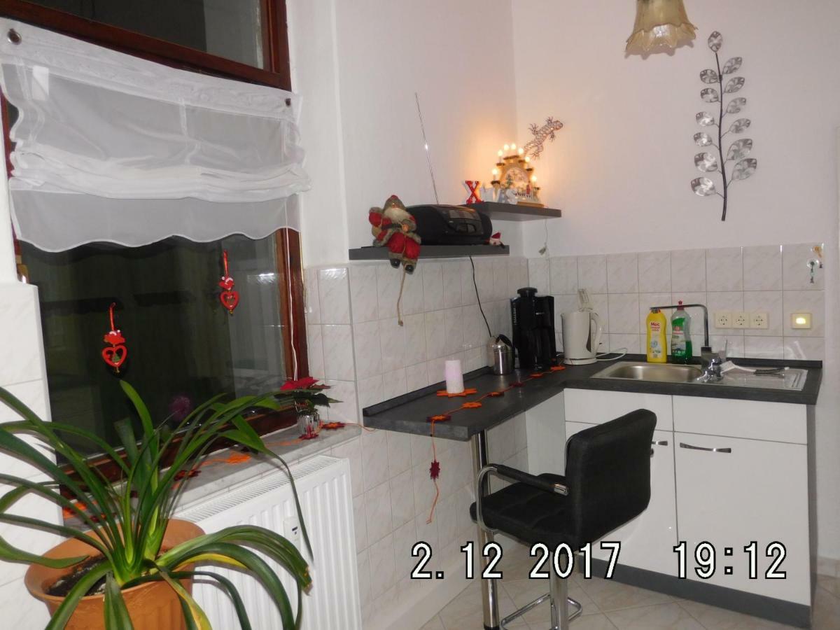 Ferienwohnung Am Schloss Torgau Ngoại thất bức ảnh